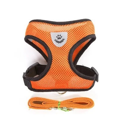 Cat and Dog Harness with Lead Leash