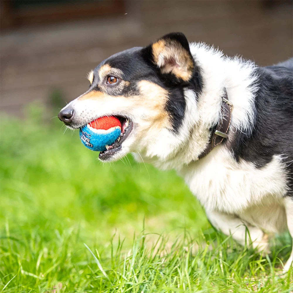 Squeaky Tennis Ball Interactive Dog Toys