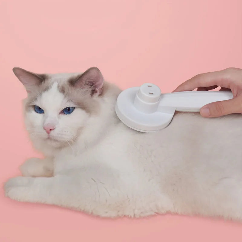 Pet Cat Brush Comb