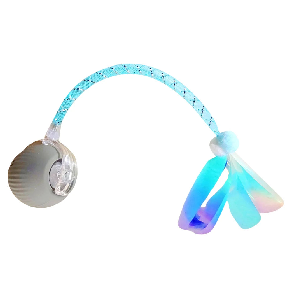 Interactive Cat Toys Ball with Elastic Mesh Tail