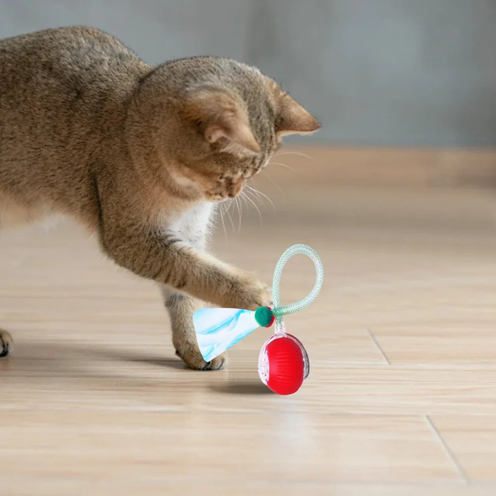 Interactive Cat Toys Ball with Elastic Mesh Tail