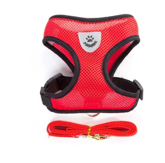Cat and Dog Harness with Lead Leash
