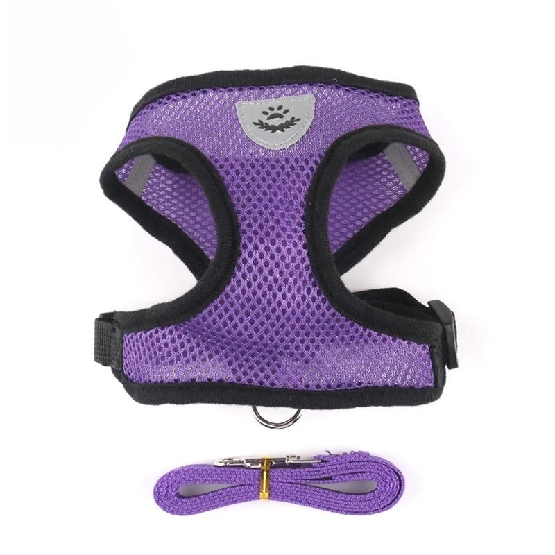 Cat and Dog Harness with Lead Leash