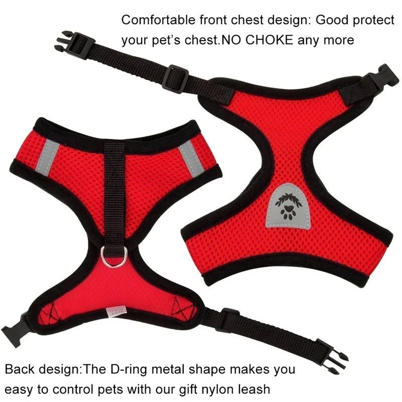 Cat and Dog Harness with Lead Leash
