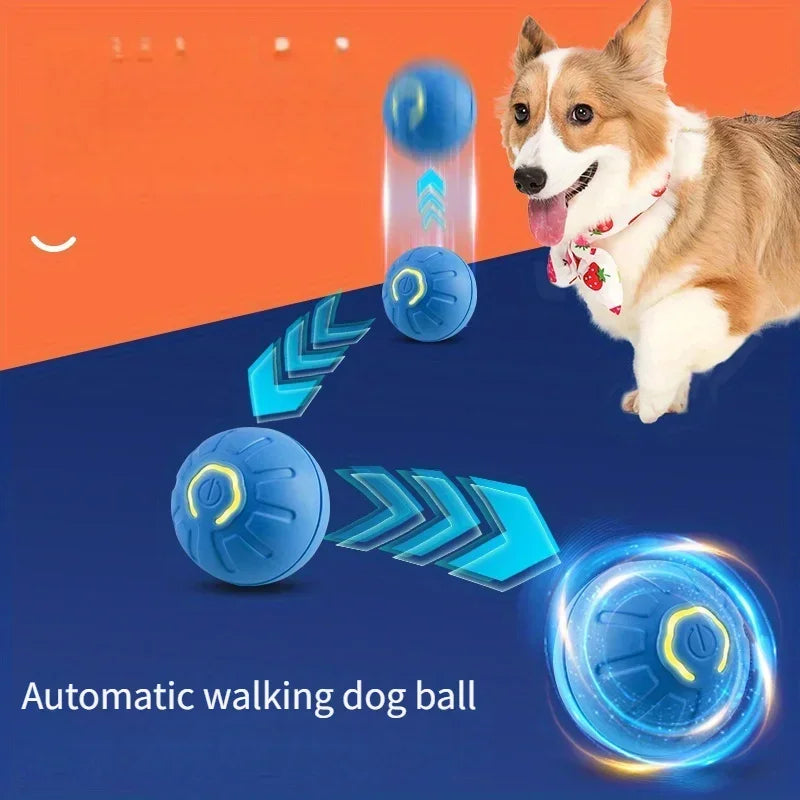 1-10PCS Smart Dog Toy Ball