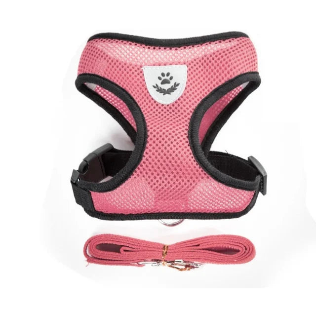 Cat and Dog Harness with Lead Leash