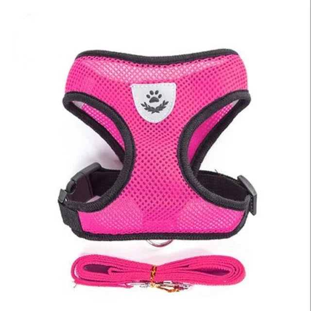 Cat and Dog Harness with Lead Leash
