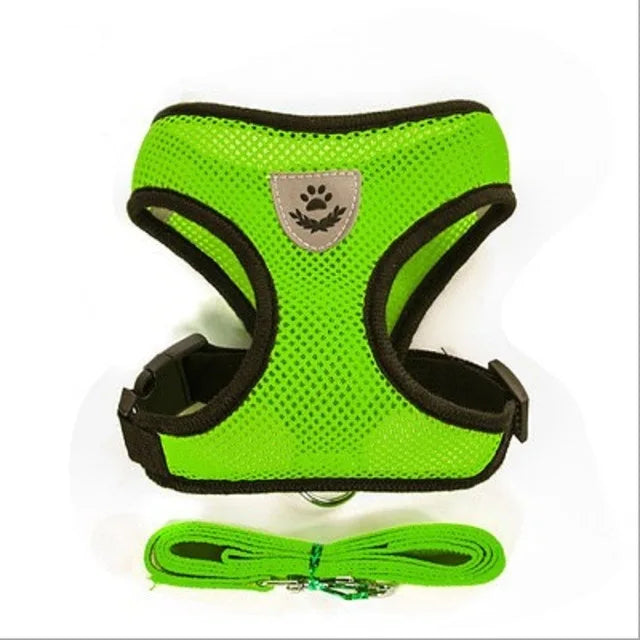 Cat and Dog Harness with Lead Leash