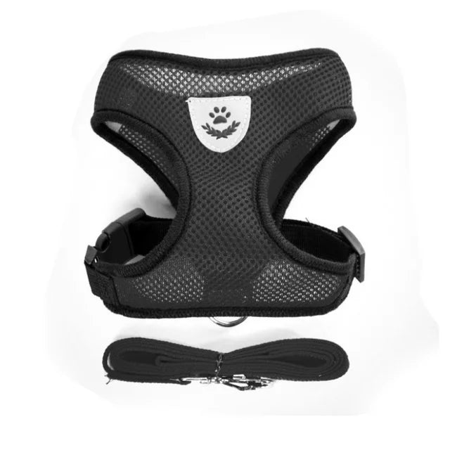 Cat and Dog Harness with Lead Leash