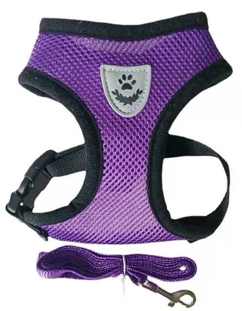 Cat and Dog Harness with Lead Leash