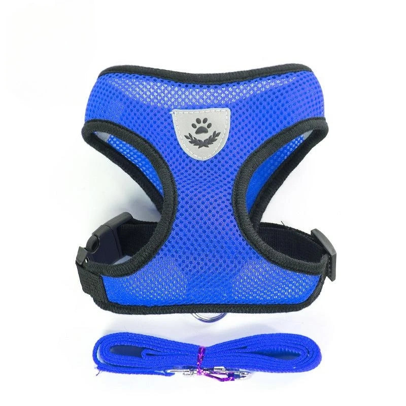 Cat and Dog Harness with Lead Leash