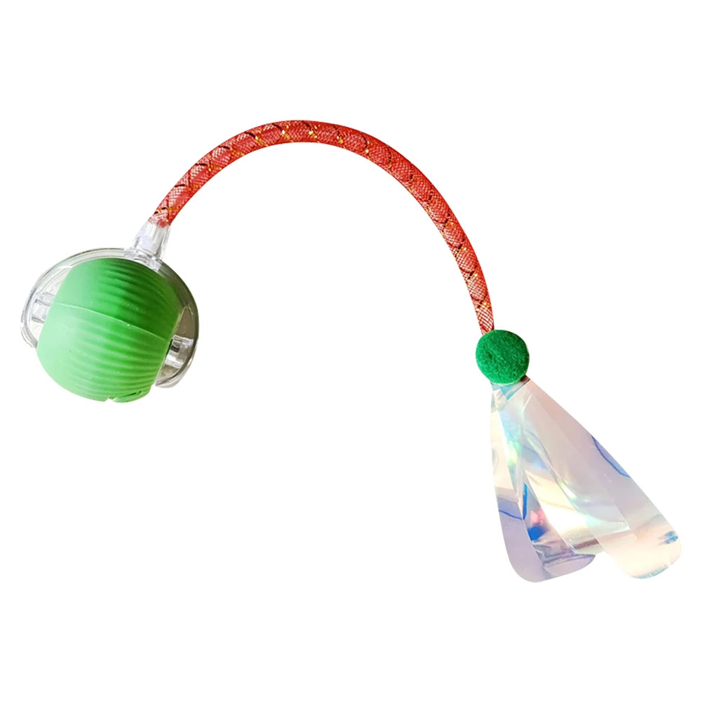 Interactive Cat Toys Ball with Elastic Mesh Tail