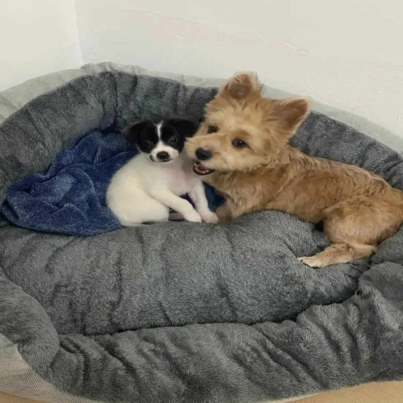 Very Soft Warm Dog Bed