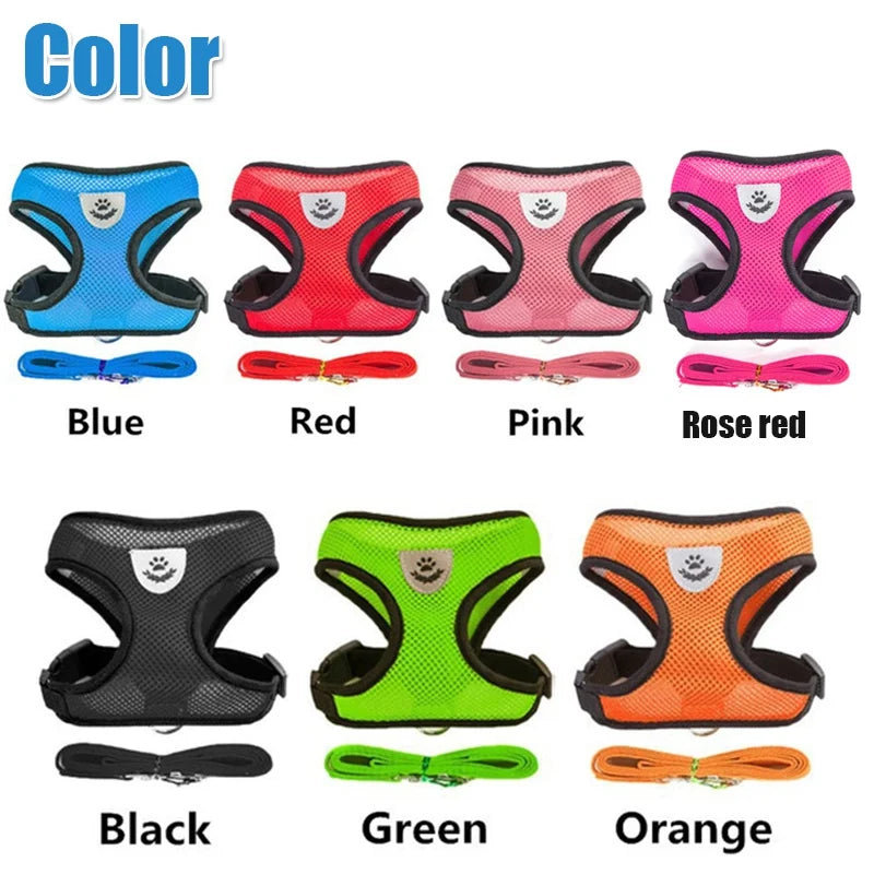 Cat and Dog Harness with Lead Leash