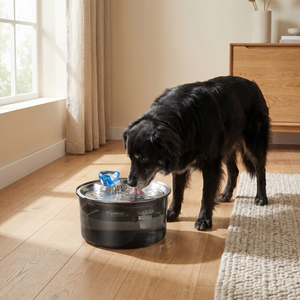 Black dog drinking from quiet pet water fountain on hardwood floor near window