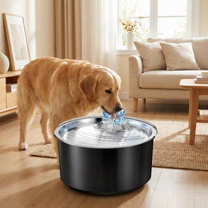 Golden retriever drinking from quiet pet water fountain in cozy living room