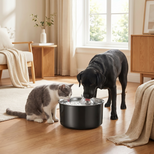 Cat and dog drinking from a quiet pet water fountain in a cozy living room