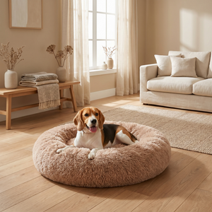 Cozy beagle resting in plush round dog bed in sunlit living room, perfect for pet comfort and relaxation.