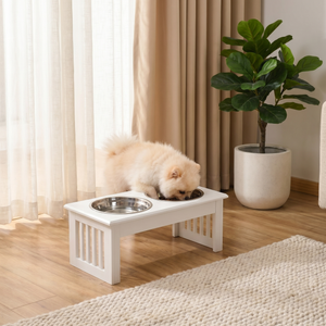Fluffy Pomeranian eating from white elevated dog feeder with stainless steel bowls in cozy home setting