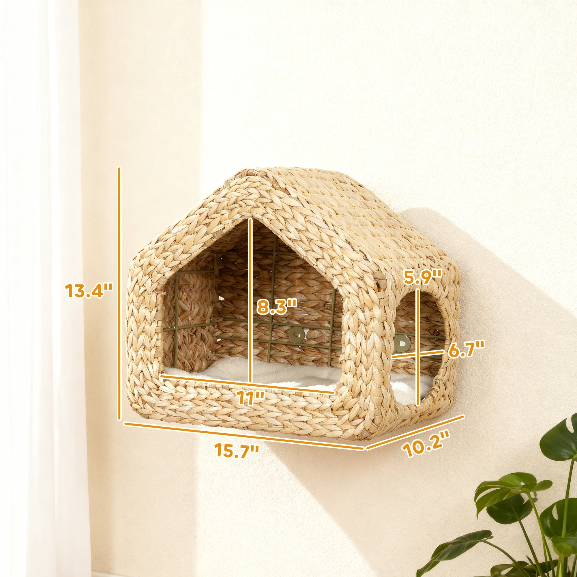 Cat resting inside wall-mounted house