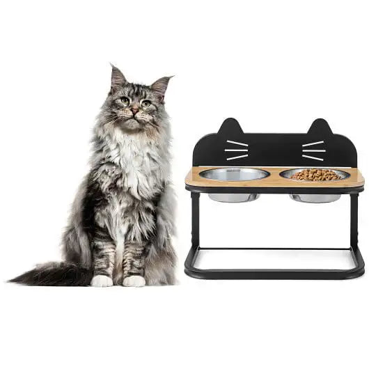Raised feeder with two stainless steel bowls for cats and small dogs