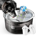 Large 10-litre automatic pet water fountain for homes with multiple dogs and cats