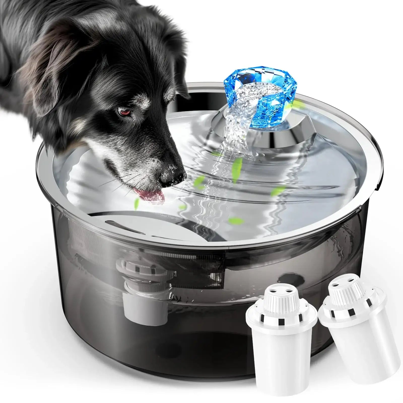 Large 10-litre automatic pet water fountain for homes with multiple dogs and cats