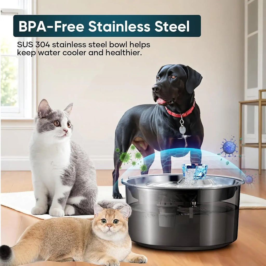 Large 10-litre automatic pet water fountain for homes with multiple dogs and cats — view 4