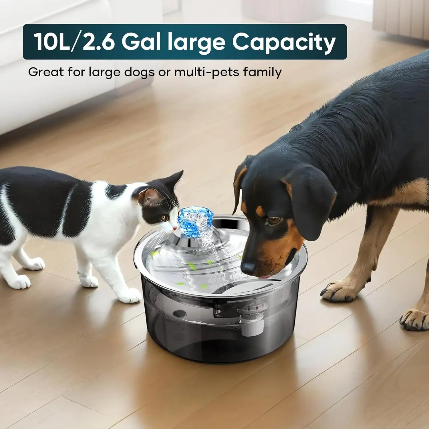 Large 10-litre automatic pet water fountain for homes with multiple dogs and cats — view 3