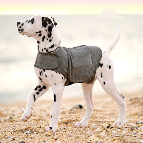 Calming pressure anxiety jacket for dogs in heather grey