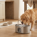 Golden retriever drinking from stainless steel pet water fountain in cozy kitchen