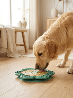 Golden retriever licking peanut butter from green slow feeder puzzle toy on hardwood floor