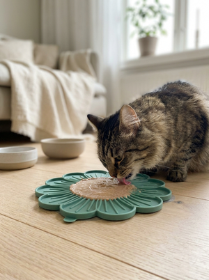 Tabby cat eating wet food from green flower-shaped slow feeder on hardwood floor
