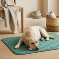 Yellow Labrador resting on teal quilted cooling mat for dogs, cozy home setting