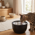 Cat drinking from quiet pet water fountain on wooden table, cozy home setting
