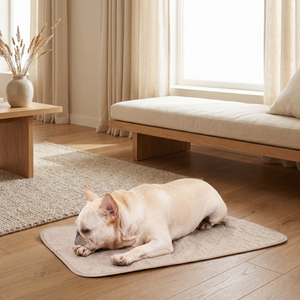 French bulldog resting on a quilted cooling mat in a cozy living room, ideal for pet comfort.