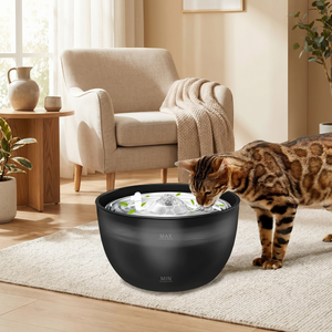 Cat drinking from black pet water fountain with flowing water in cozy living room