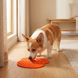 Corgi using orange slow feeder mat on hardwood floor near window, promoting calm mealtime for dogs