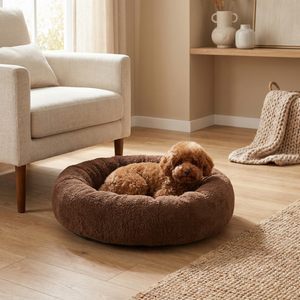 Cozy brown plush dog bed with curly-haired pup resting, perfect for pet comfort in modern home