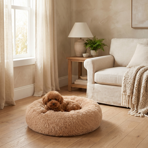 Fluffy dog bed with cozy poodle, perfect for pet comfort in living room